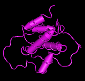 IL-3,human recombinantͼƬ