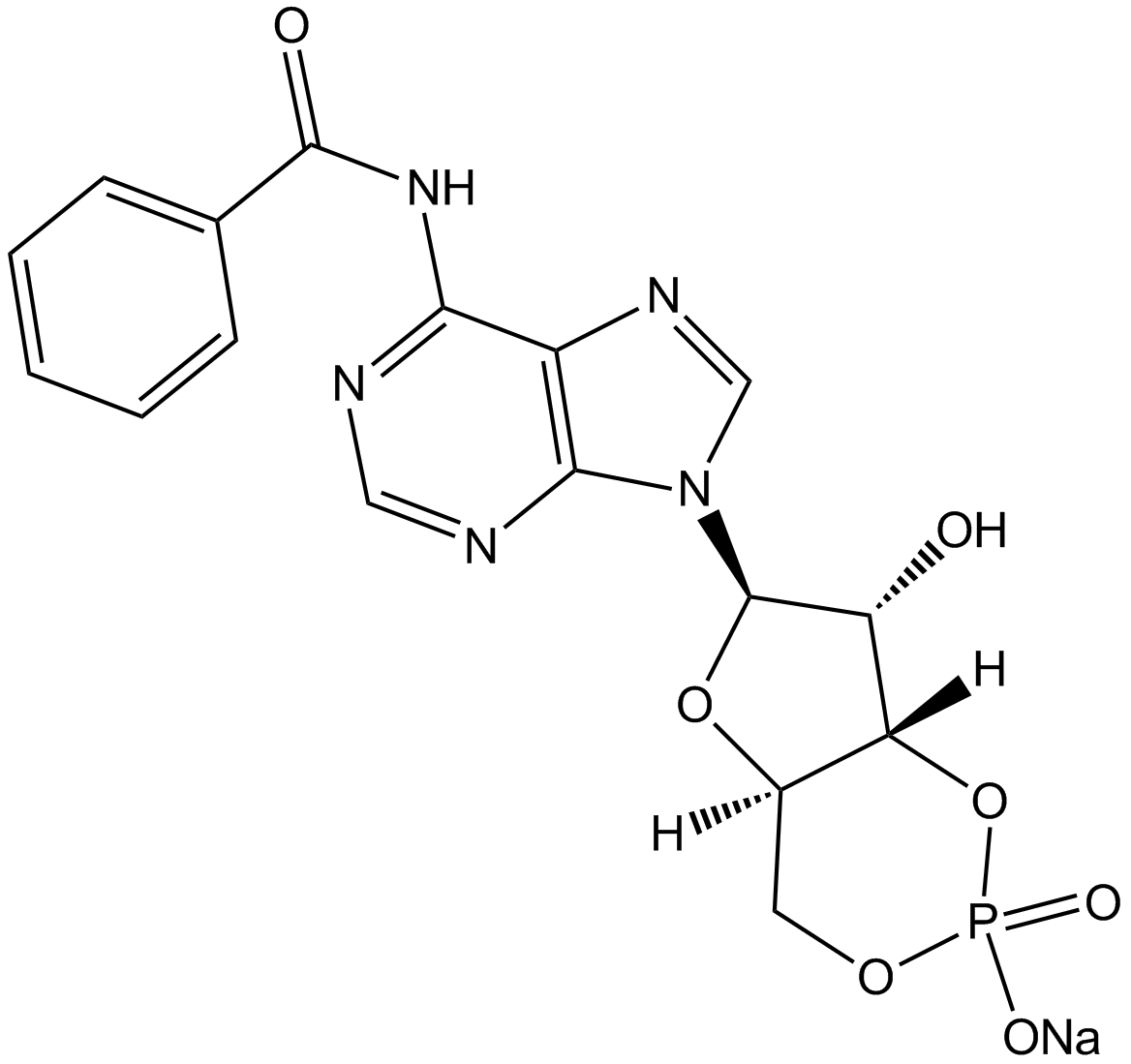 6-Bnz-cAMP sodium saltͼƬ