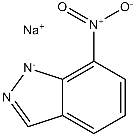 7-NINAͼƬ