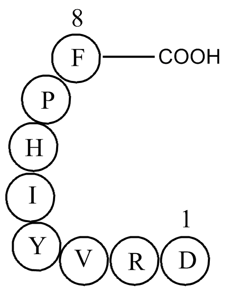 Angiotensin II humanͼƬ