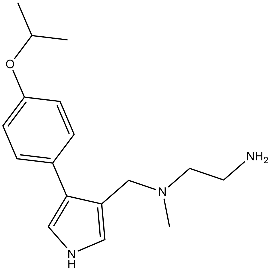 MS023ͼƬ