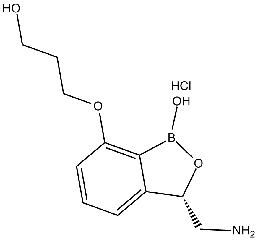 AN3365(hydrochloride)ͼƬ