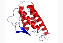 IL-4,murine recombinantͼƬ