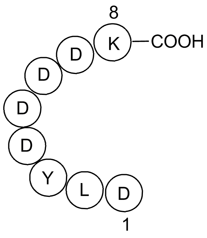 X-press Tag PeptideͼƬ