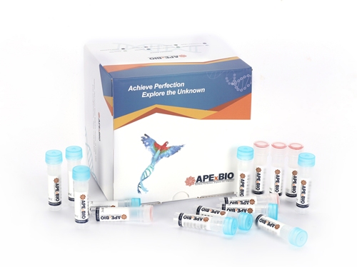 HyperScribe(TM)All in One mRNA Synthesis Kit II(EZ Cap Reagent AG(3' OMe),T7,poly(A))ͼƬ