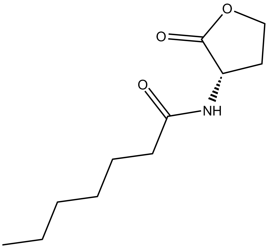 N-heptanoyl-L-Homoserine lactoneͼƬ