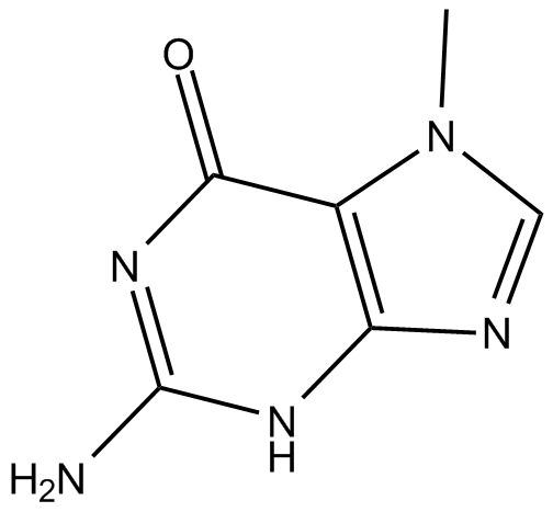 7-MethylguanineͼƬ