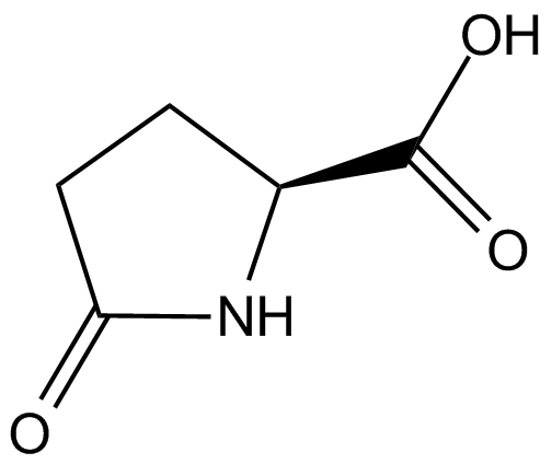 L-Pyroglutamic acidͼƬ