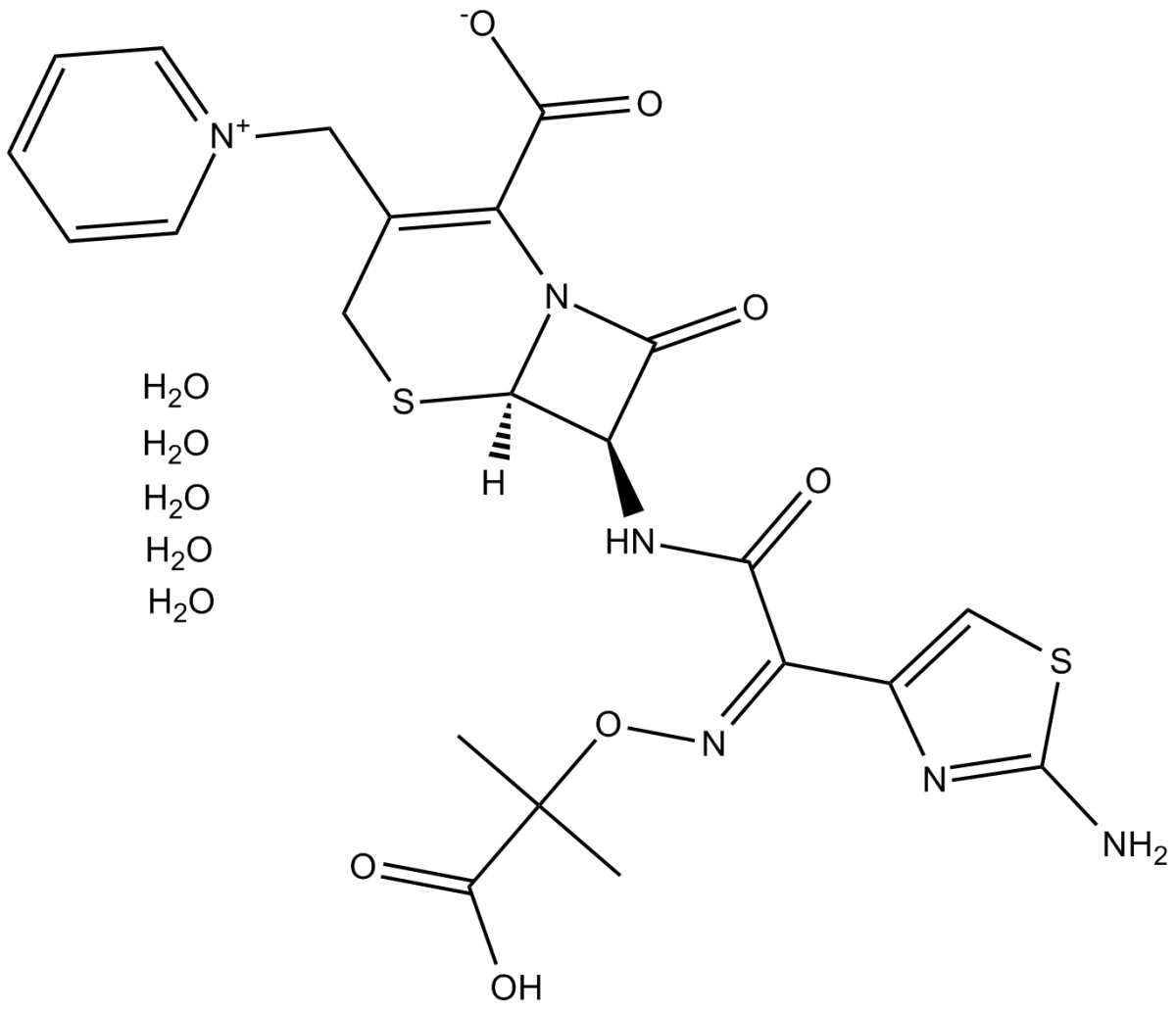 Ceftazidime PentahydrateͼƬ