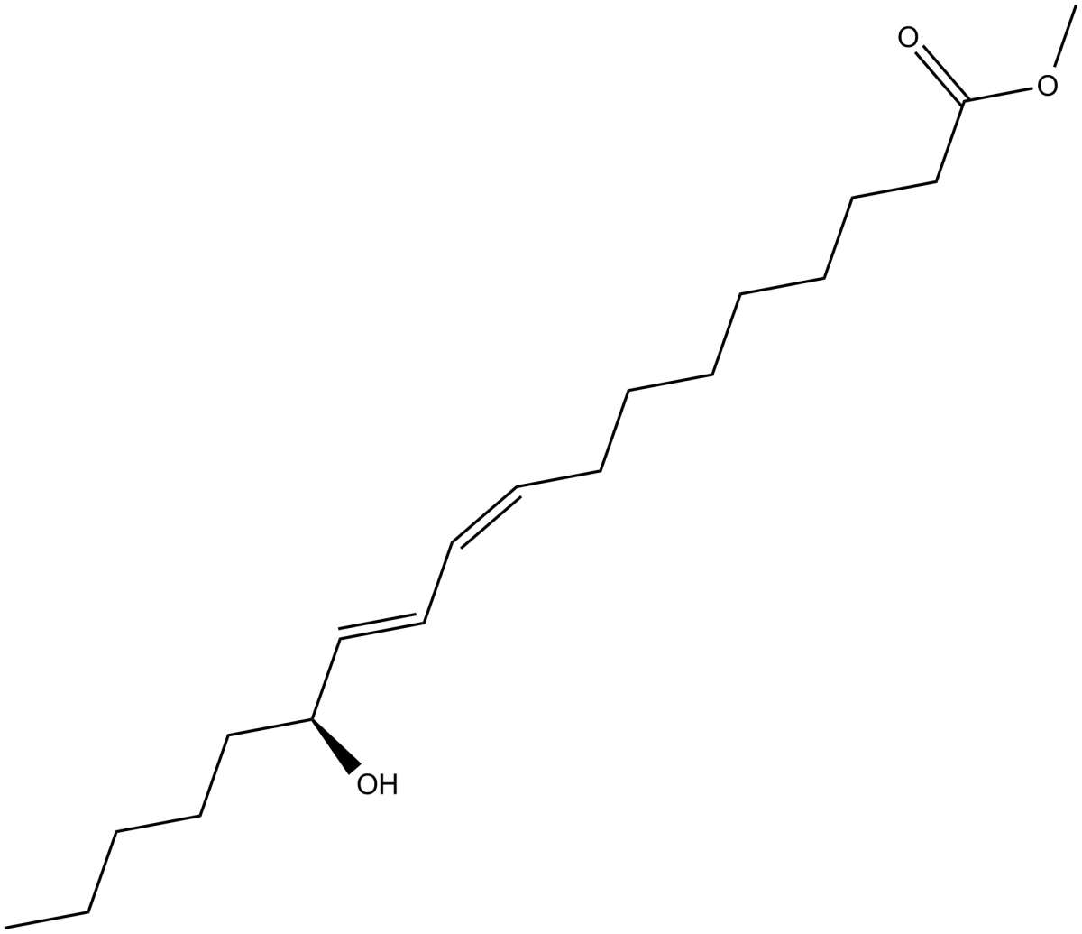 13(S)-HODE methyl esterͼƬ