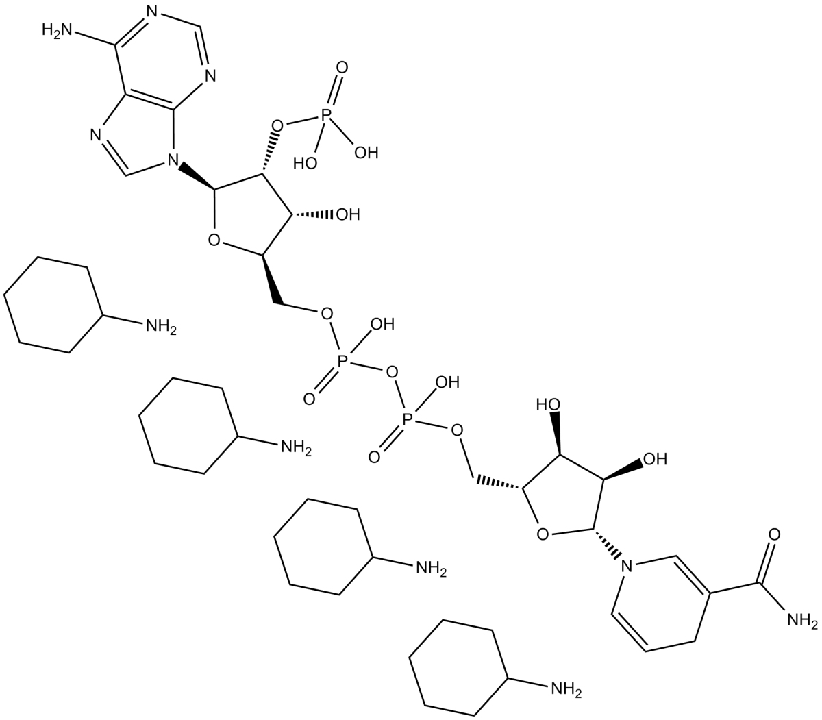 NADPH(cyclohexyl ammonium salt)ͼƬ