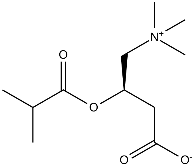 Isobutyryl-L-carnitine图片