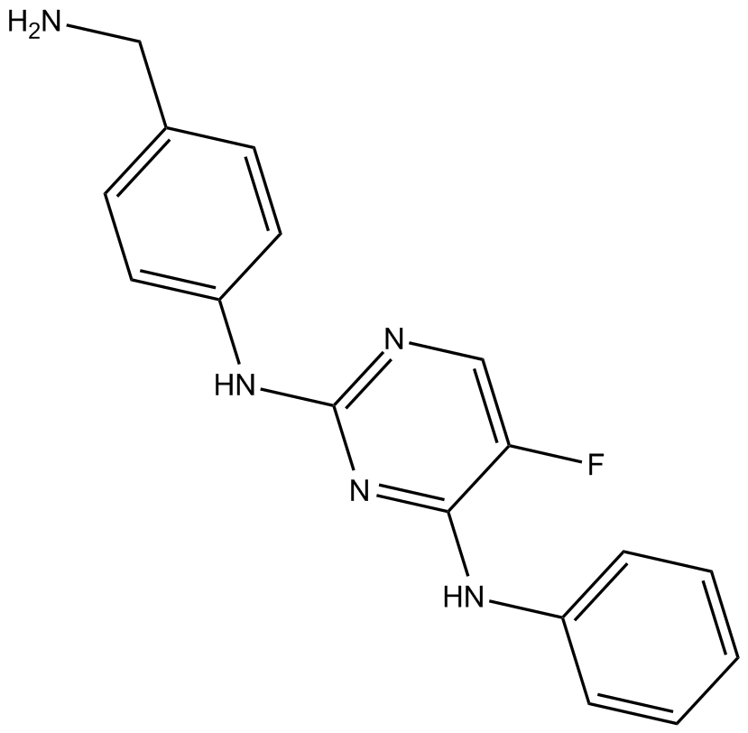 CZC-8004ͼƬ