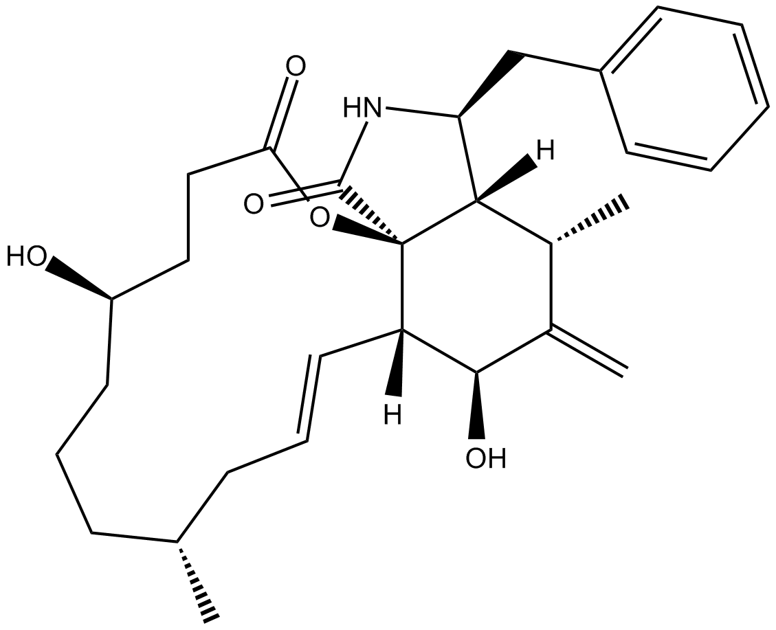 Dihydrocytochalasin BͼƬ