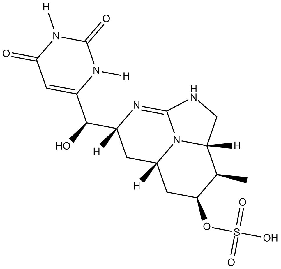 CylindrospermopsinͼƬ