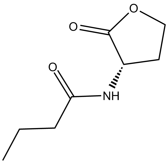 N-butyryl-L-Homoserine lactoneͼƬ