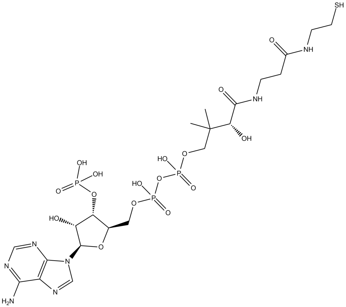 Coenzyme AͼƬ