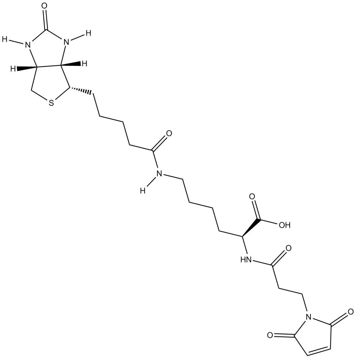 3-(N-Maleimidopropionyl)-biocytinͼƬ