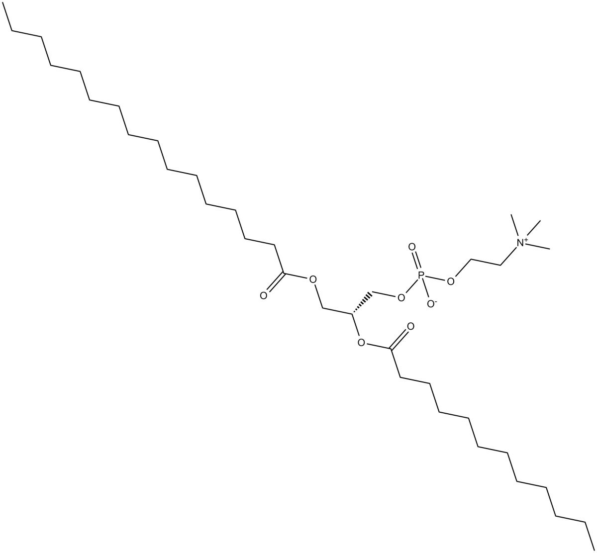 1-Palmitoyl-2-lauroyl-sn-glycero-3-PCͼƬ