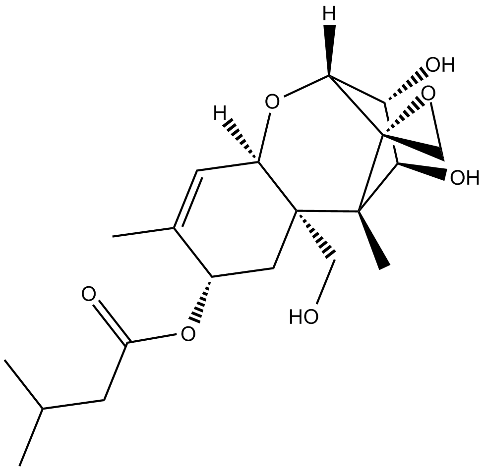 T-2 TriolͼƬ