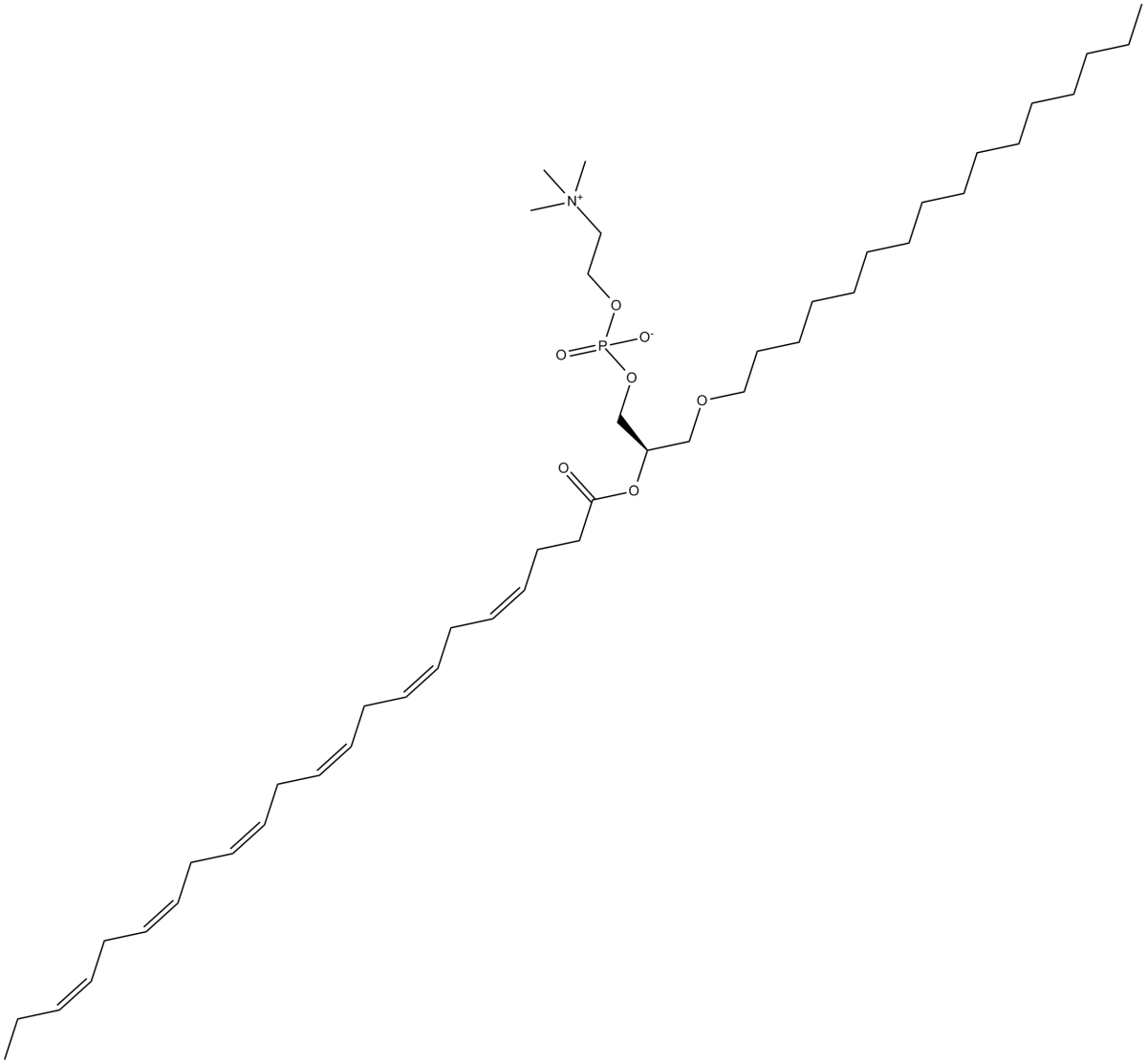 Docosahexaenoyl PAF C-16ͼƬ