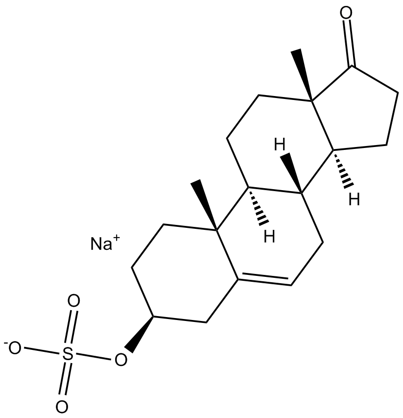 Dehydroepiandrosterone Sulfate(sodium salt)ͼƬ