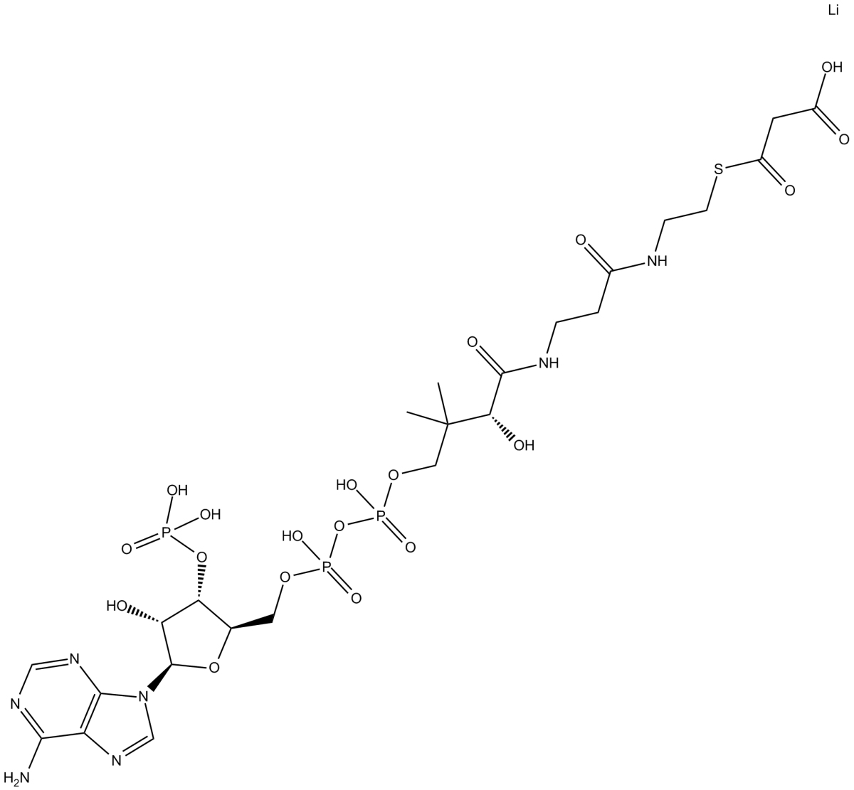 Malonyl Coenzyme A(lithium salt)ͼƬ