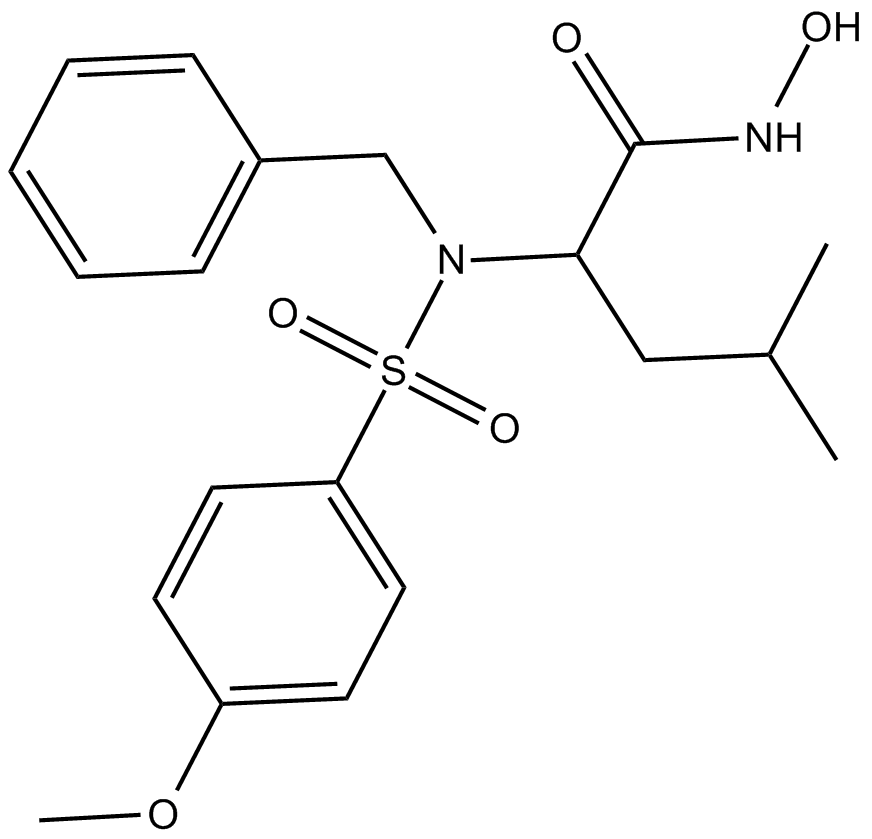 MMP-3 Inhibitor VIIIͼƬ