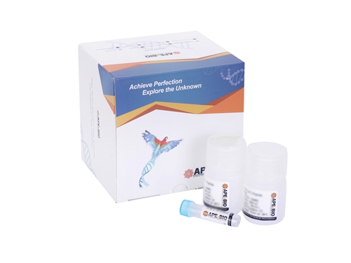 ECL Chemiluminescent Substrate Detection Kit(Hypersensitive)ͼƬ