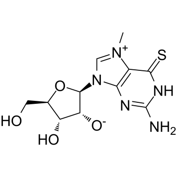 MESG(7-methyl-6-Thioguanosine)图片