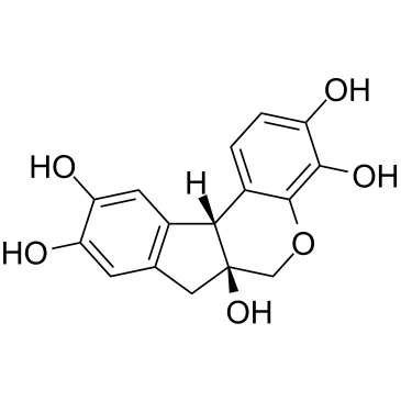 Hematoxylin(Natural Black 1Haematoxylin)ͼƬ