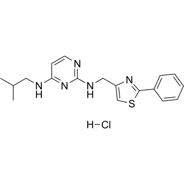 KHS101 hydrochlorideͼƬ