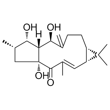 LathyrolͼƬ