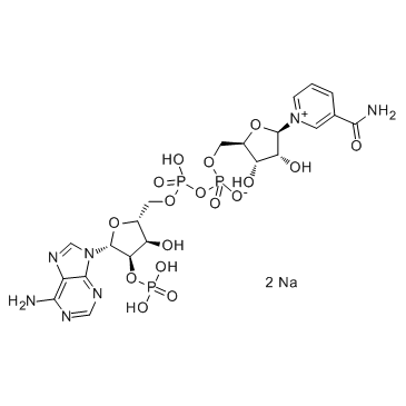 NADP disodium salt(Disodium NADP)ͼƬ