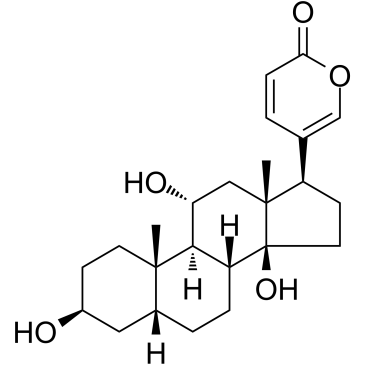 Gamabufotalin(Gamabufagin)ͼƬ