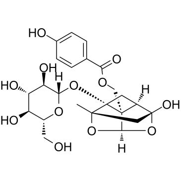 OxypaeoniflorinͼƬ