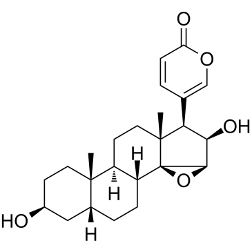 Desacetylcinobufagin(Deacetylcinobufagin)ͼƬ