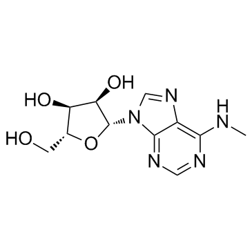 N6-Methyladenosine(6-Methyladenosine N-Methyladenosine)ͼƬ