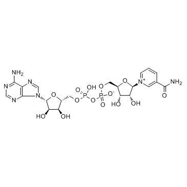 NAD+(β-DPNβ-NADβ-Nicotinamide Adenine Dinucleotide)图片