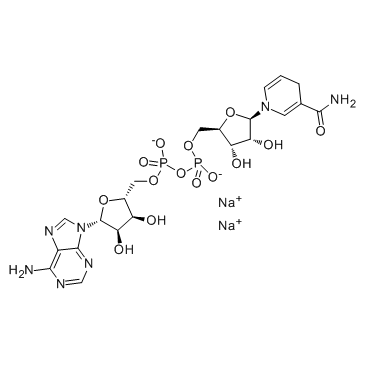 NADH disodium salt(Disodium NADH)ͼƬ