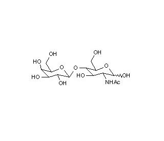 N-Acetyl-D-lactosamine(N-Acetyllactosamine)ͼƬ