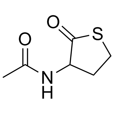 CitioloneͼƬ