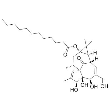 Dodecanoic acid ingenol esterͼƬ