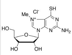 MESG Chloride(7-Methyl-6-thioguanosine Chloride)ͼƬ