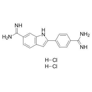 DAPI dihydrochloride(4',6-Diamidino-2-phenylindole dihydrochloride)ͼƬ