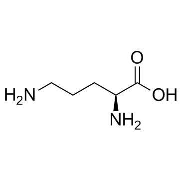 L-Ornithine((S)-2,5-Diaminopentanoic acid)图片