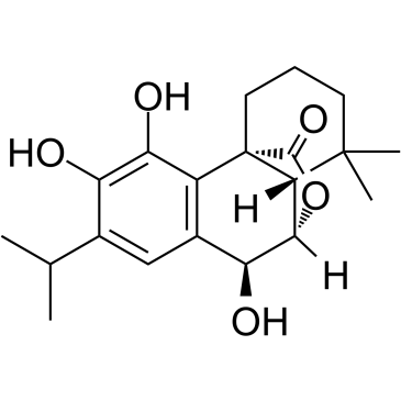 RosmanolͼƬ