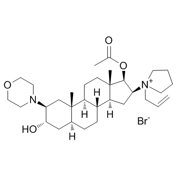 Rocuronium BromideͼƬ