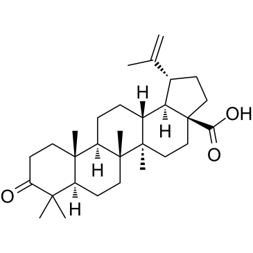 Betulonic acid(Betunolic acidLiquidambaric acid(+)-Betulonic acid)ͼƬ