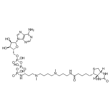 ATP-polyamine-biotinͼƬ